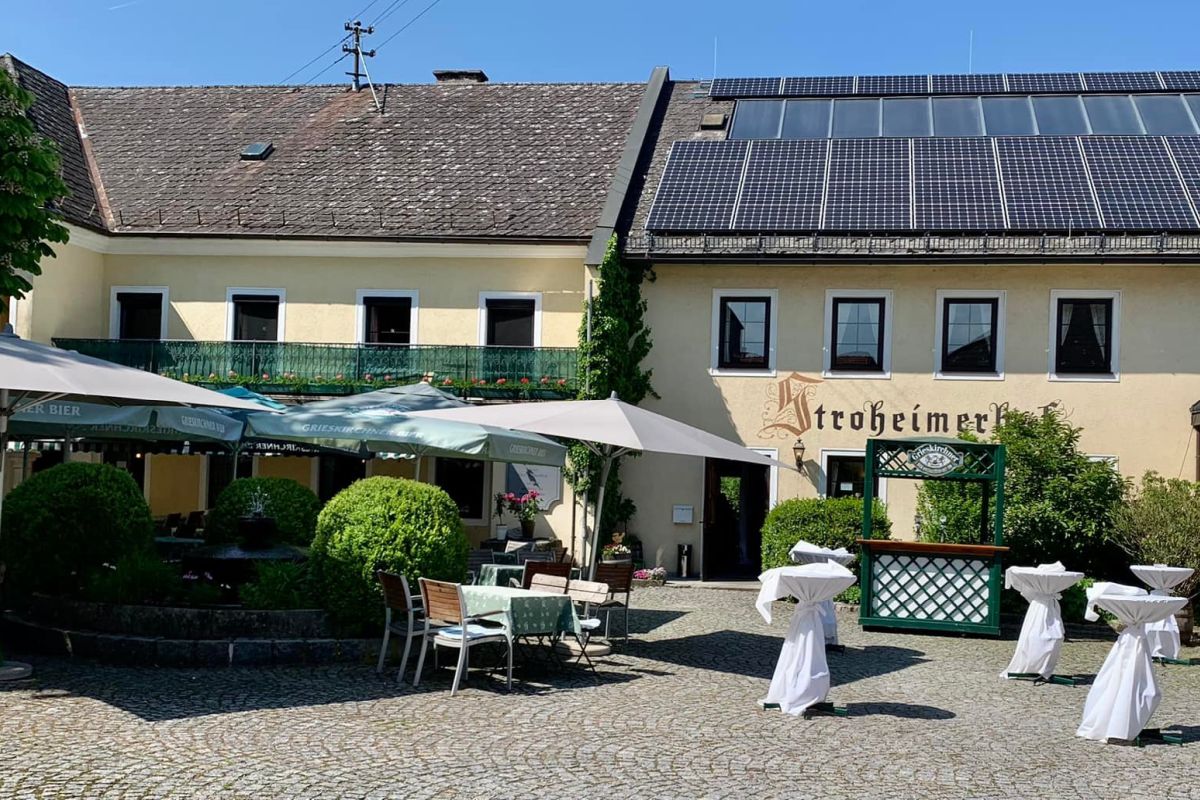 Sonnenschein durch Blätter